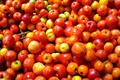 گیلاس باربادوس